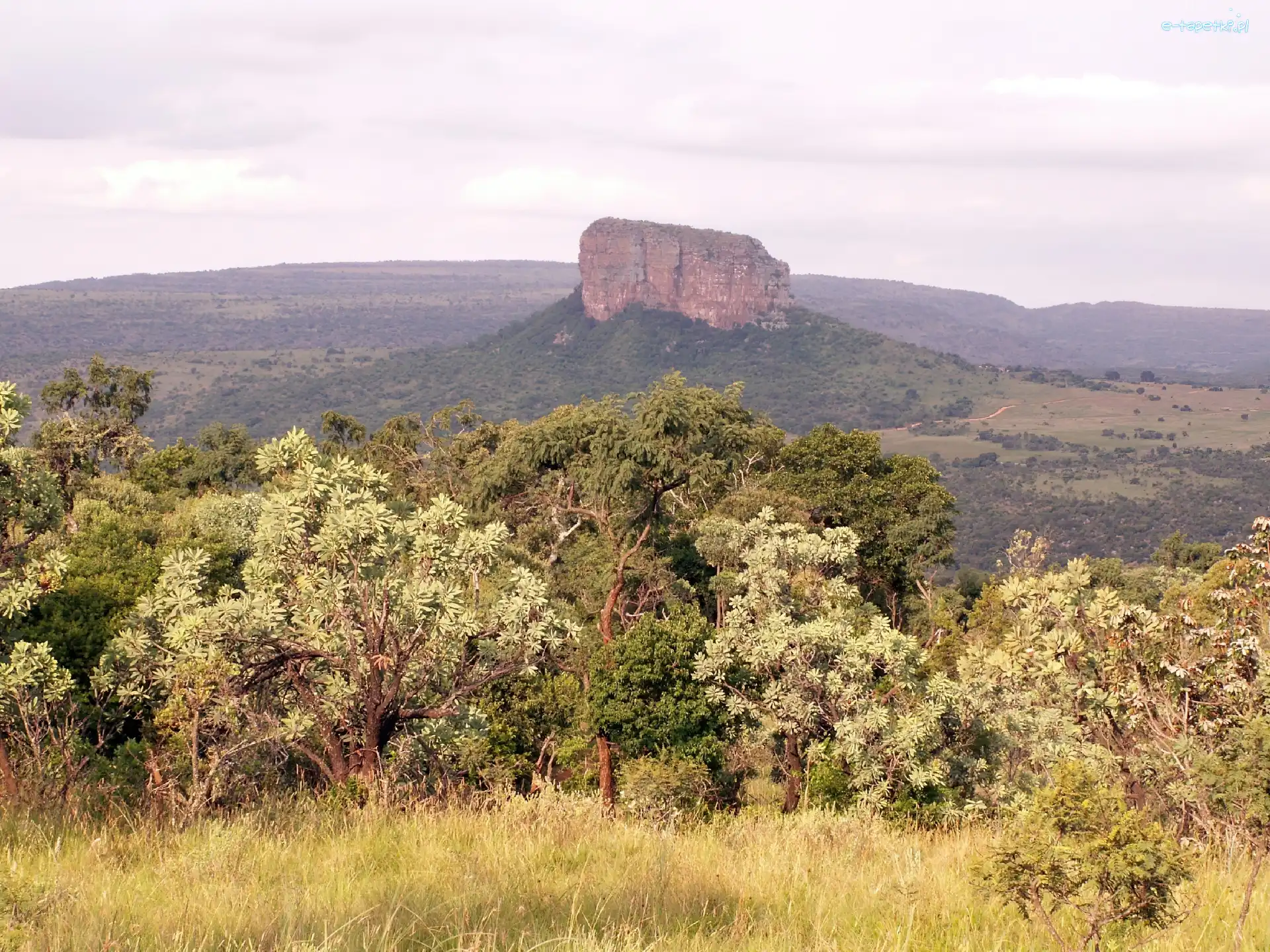 Waterberg, Górskie, Pasmo, Trawa, Drzewa