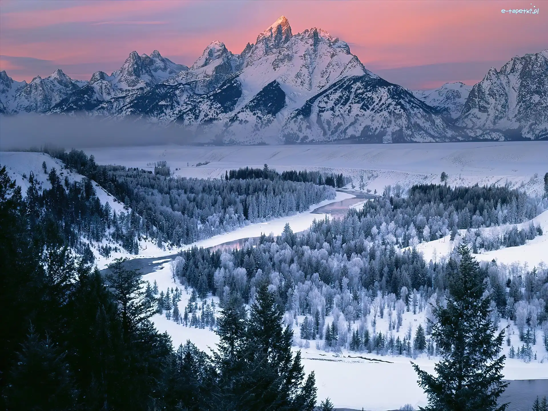 Drzewa, Góry, Śnieg, Wyoming