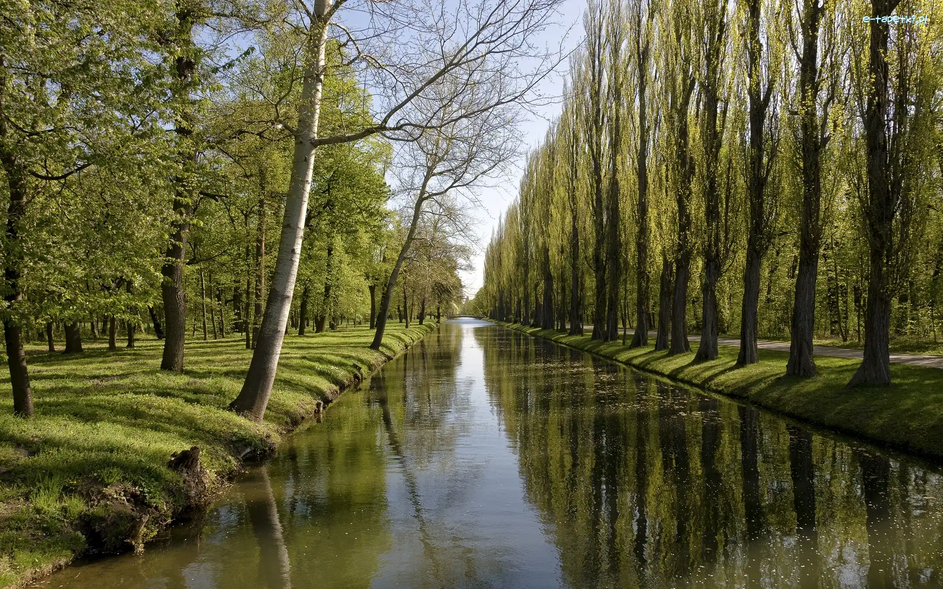 Most, Drzewa, Rzeka
