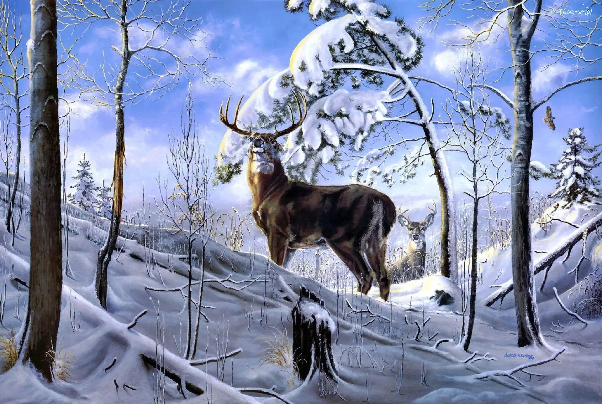 Dwa, Las, Jelenie, Art, Śnieg