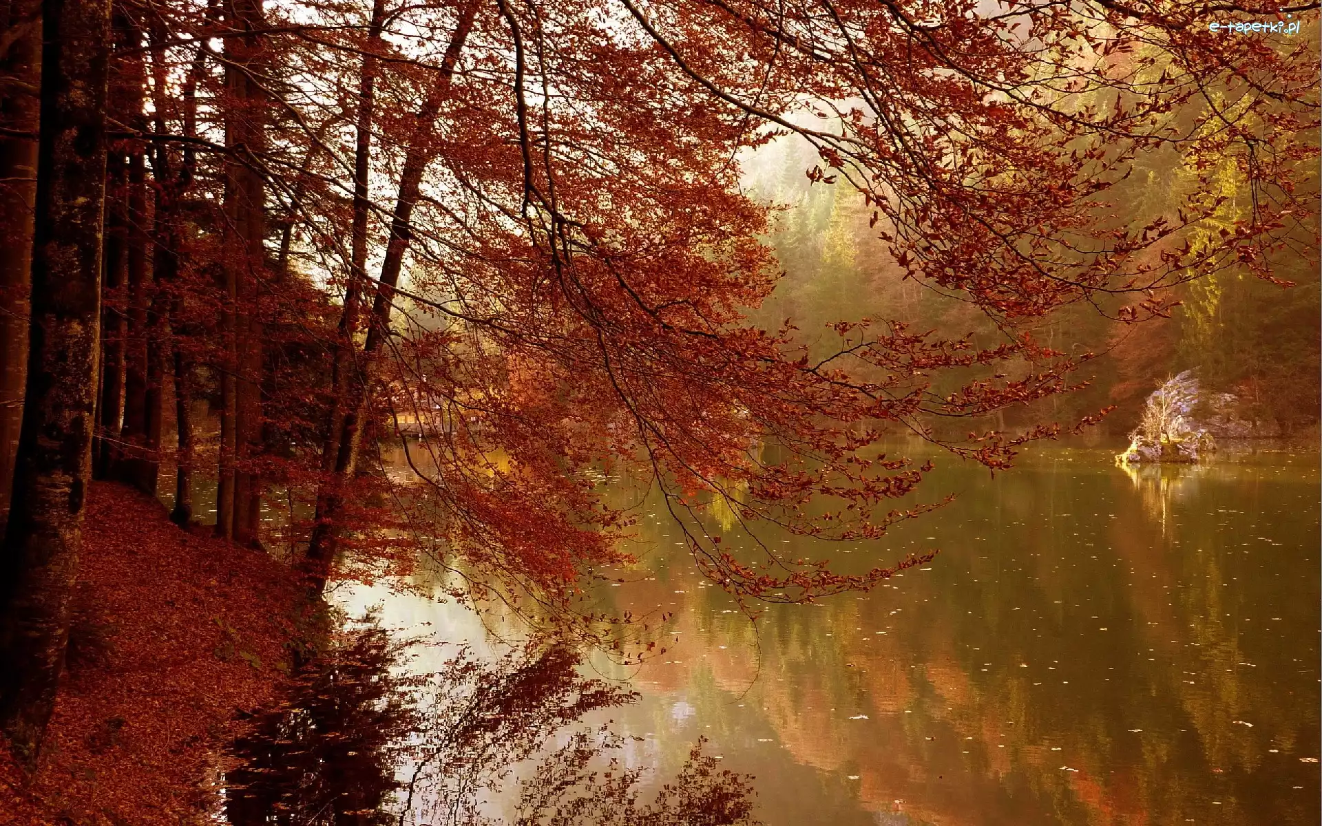 Drzewa, Rzeka, Jesień