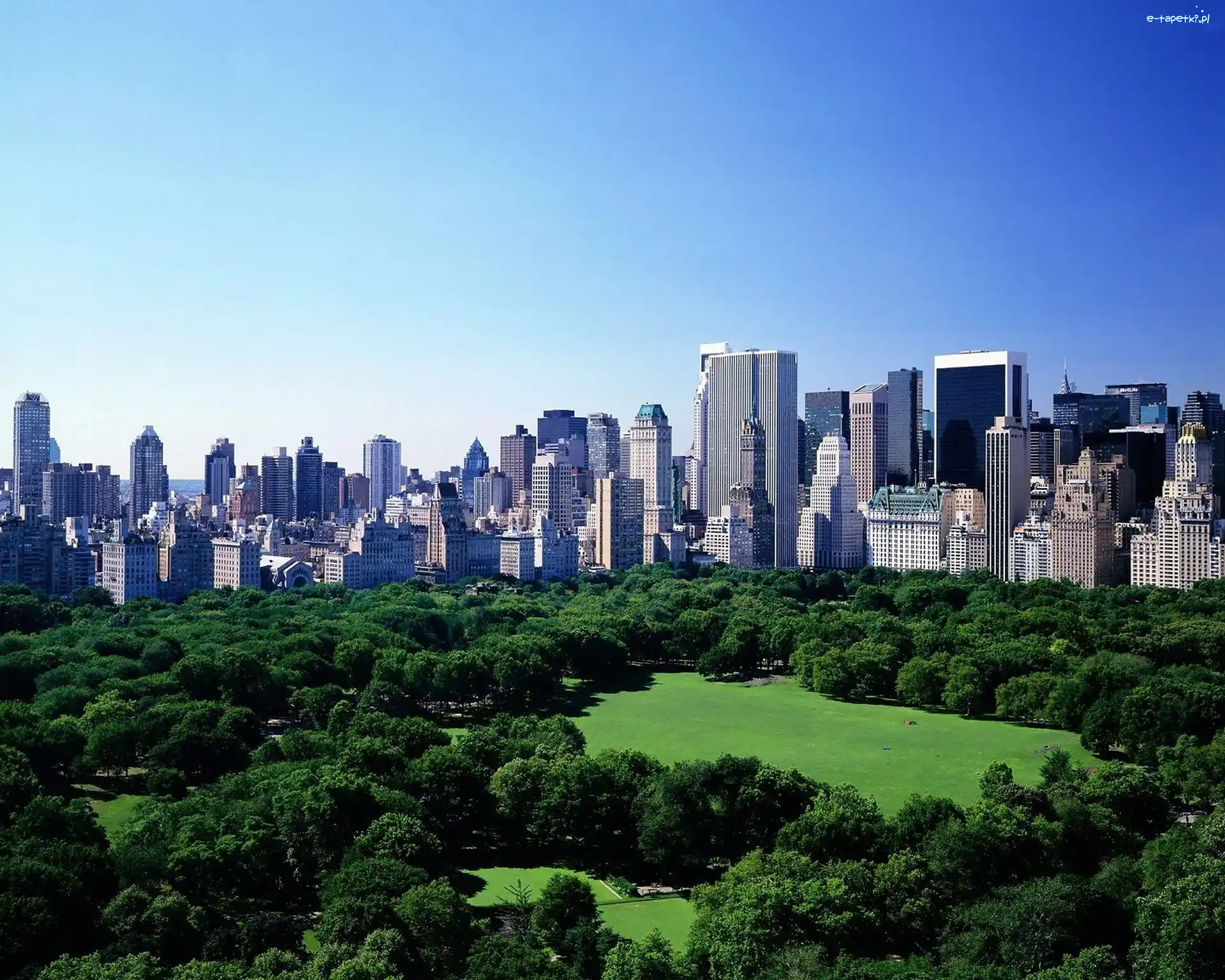 Park, Nowy Jork