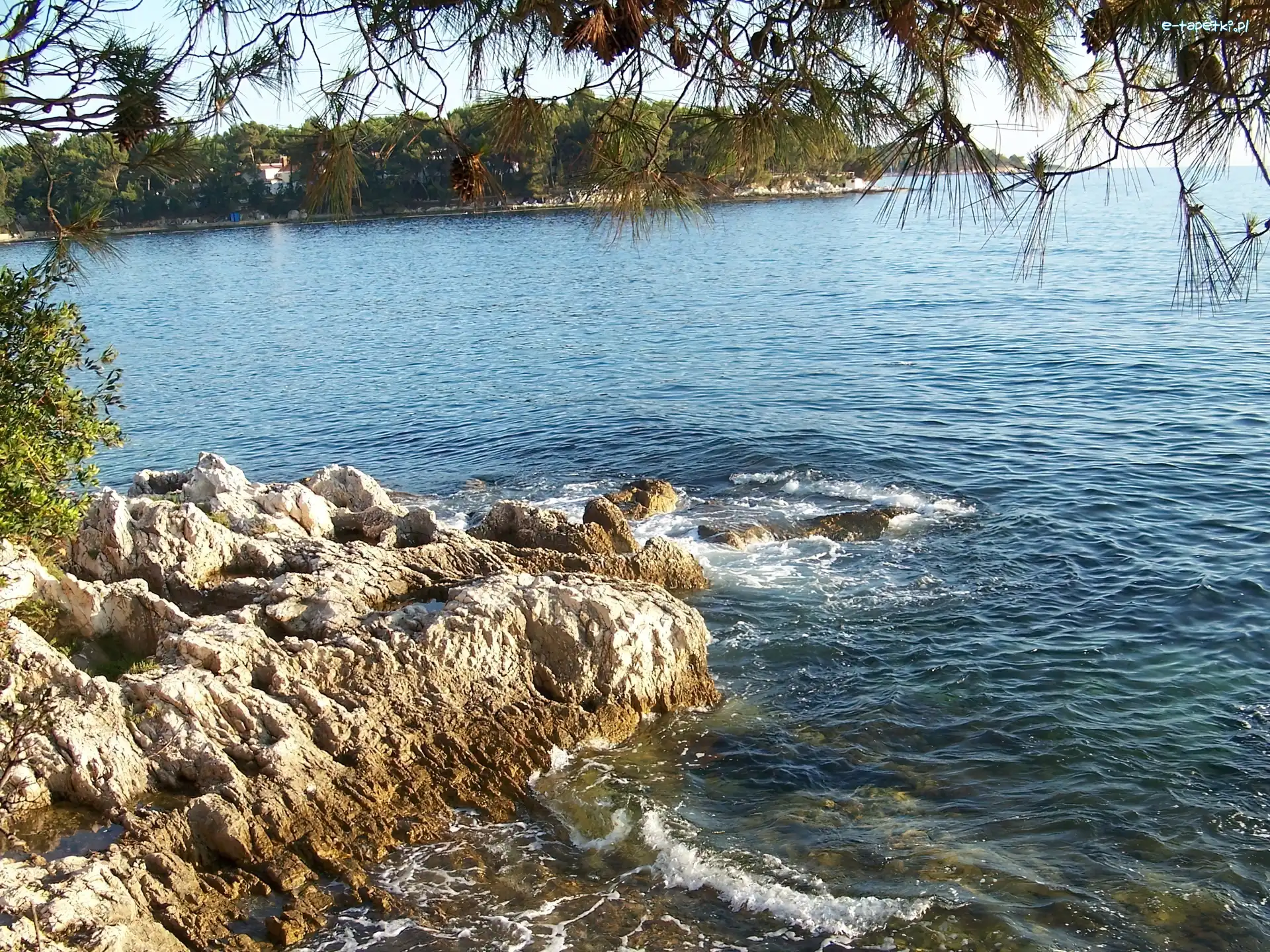Drzewa, Skały, Jezioro