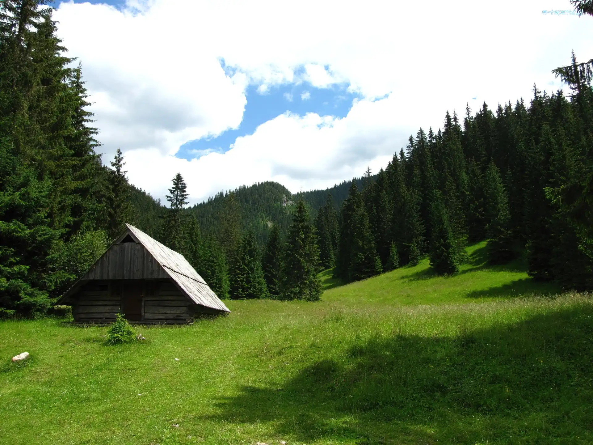 Chata, Góry, Las, Trawa