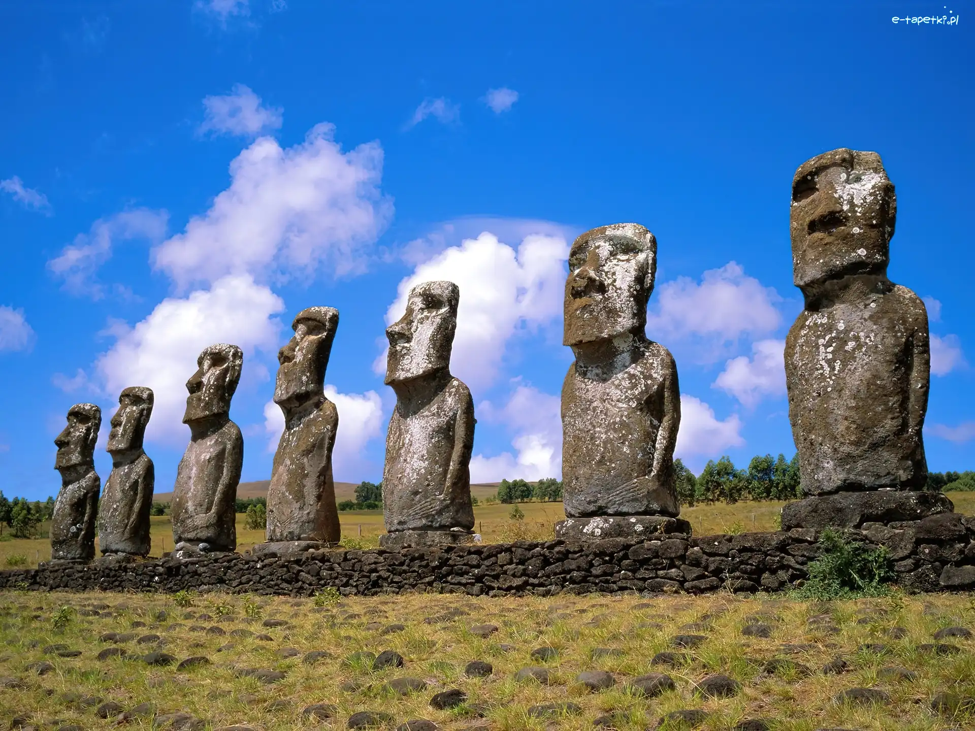 Wyspa Wielkanocna, Moai, Posągi