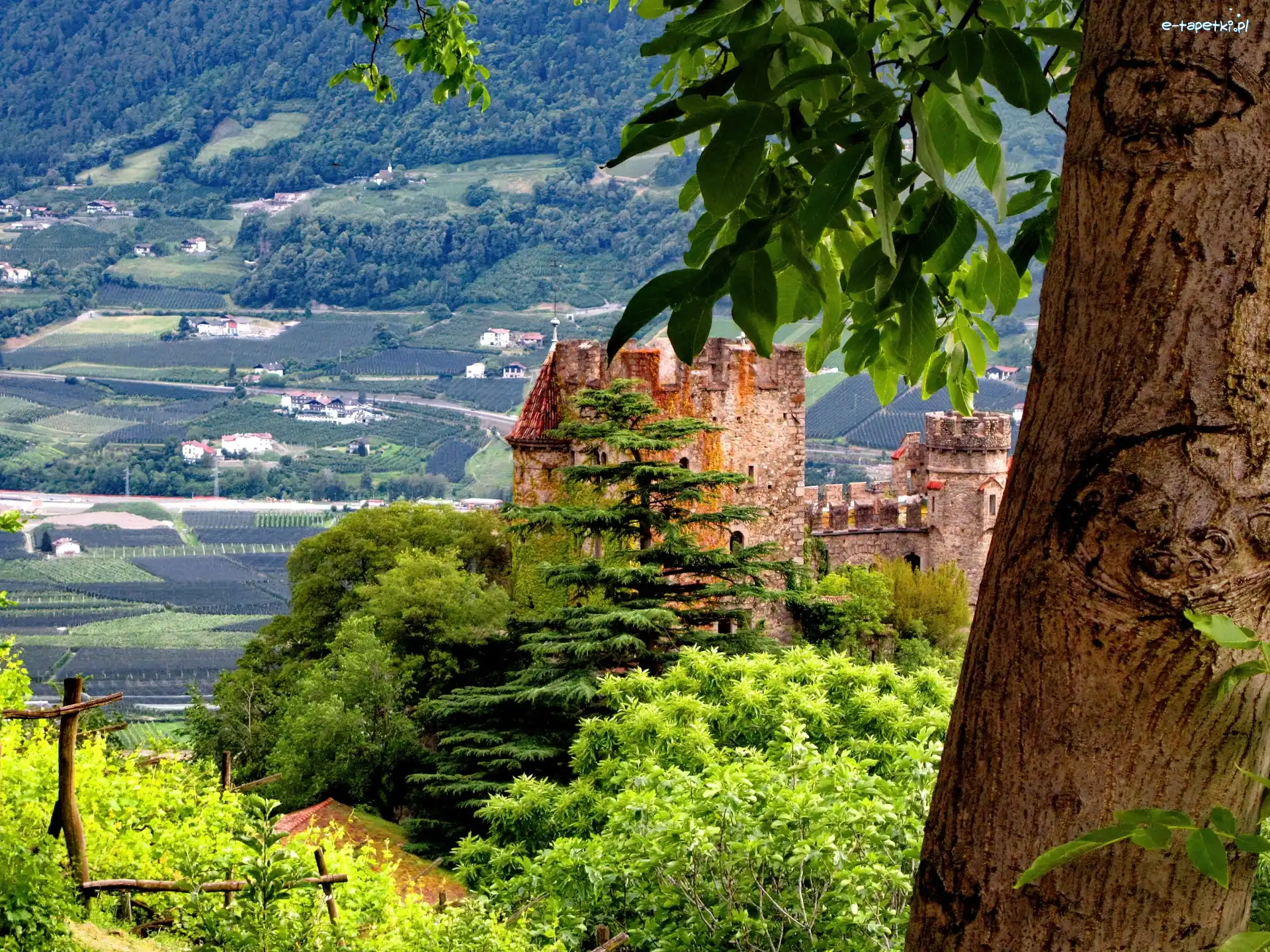 Panorama, Zamek, Ruiny