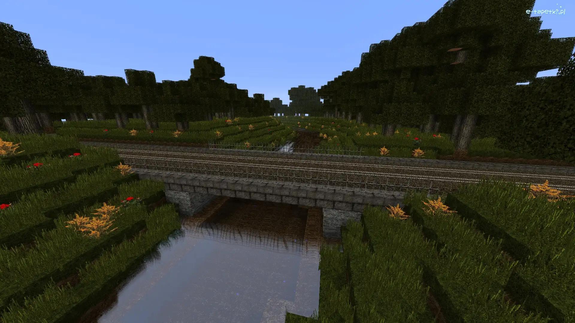 Most, Rzeka, Minecraft