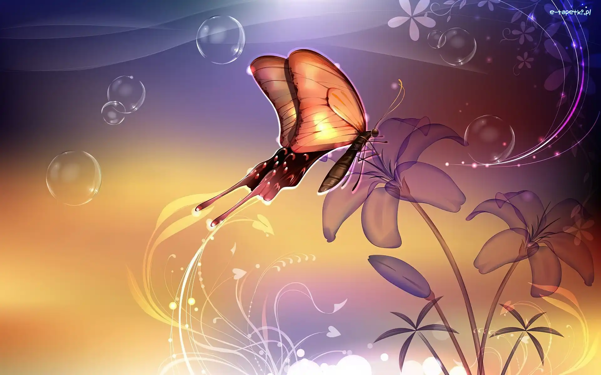 Grafika, Motyl, Kwiatki