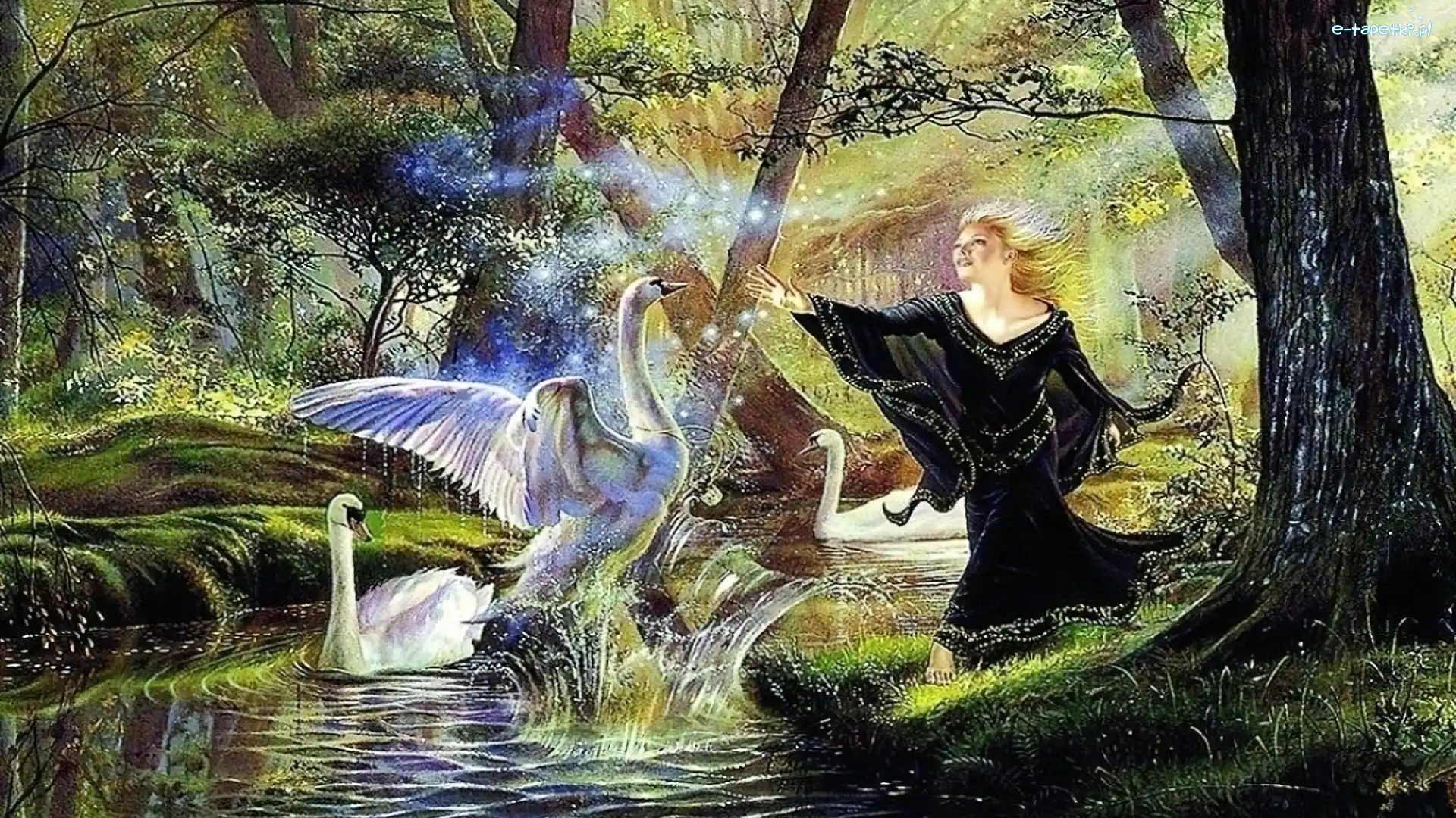 Łabędzie, Rzeka, Las, Kobieta