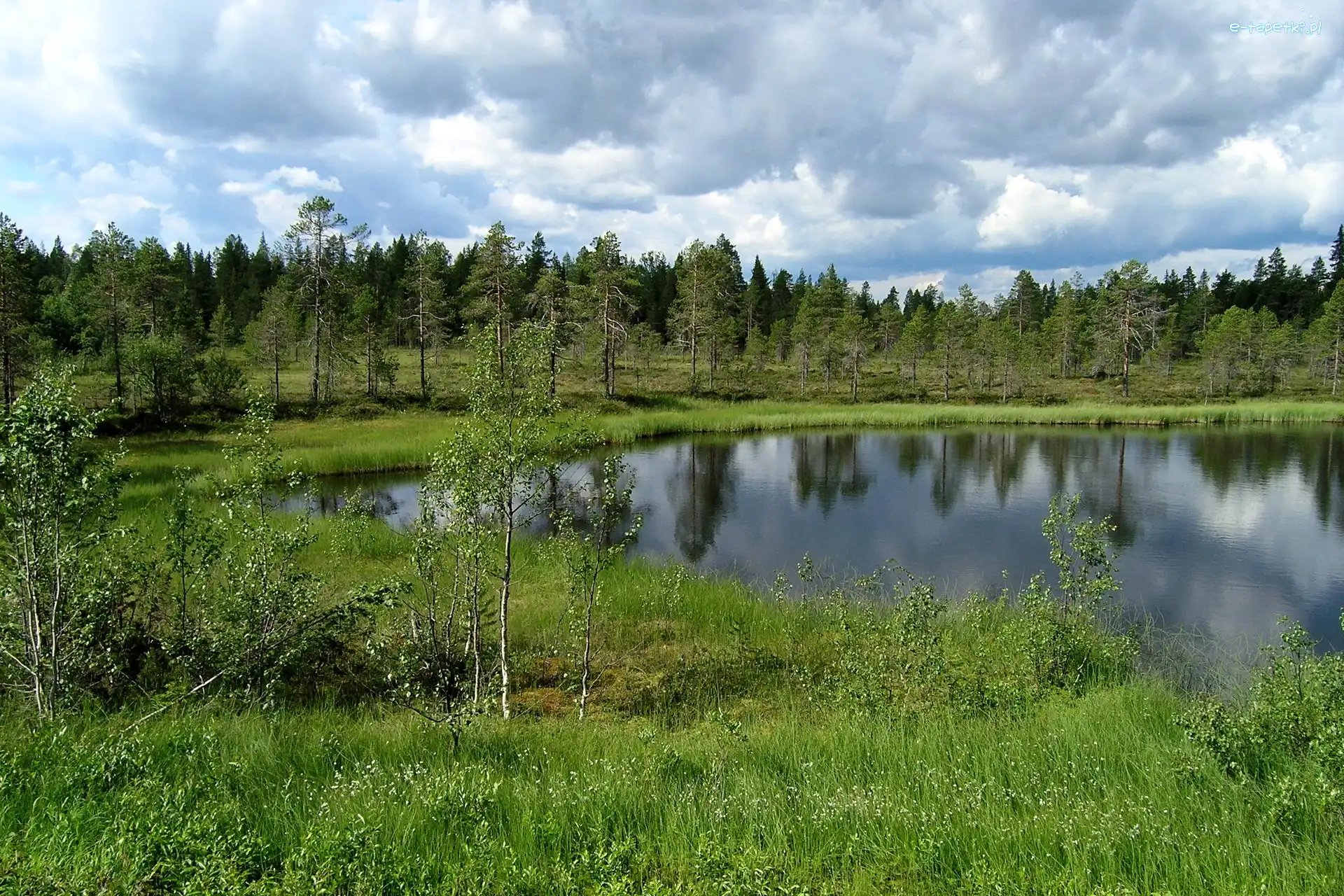 Las, Łąka, Jezioro