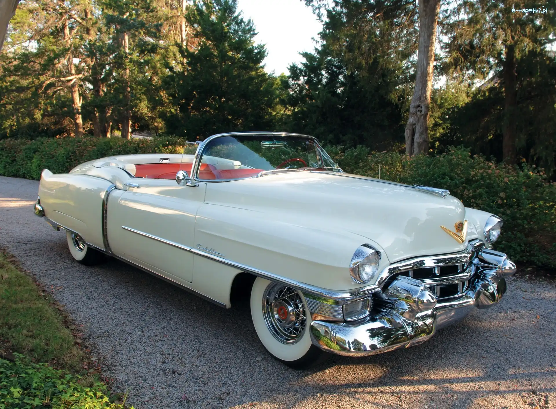 Biały, Cadillac Eldorado, Kabriolet, Samochód Zabytkowy