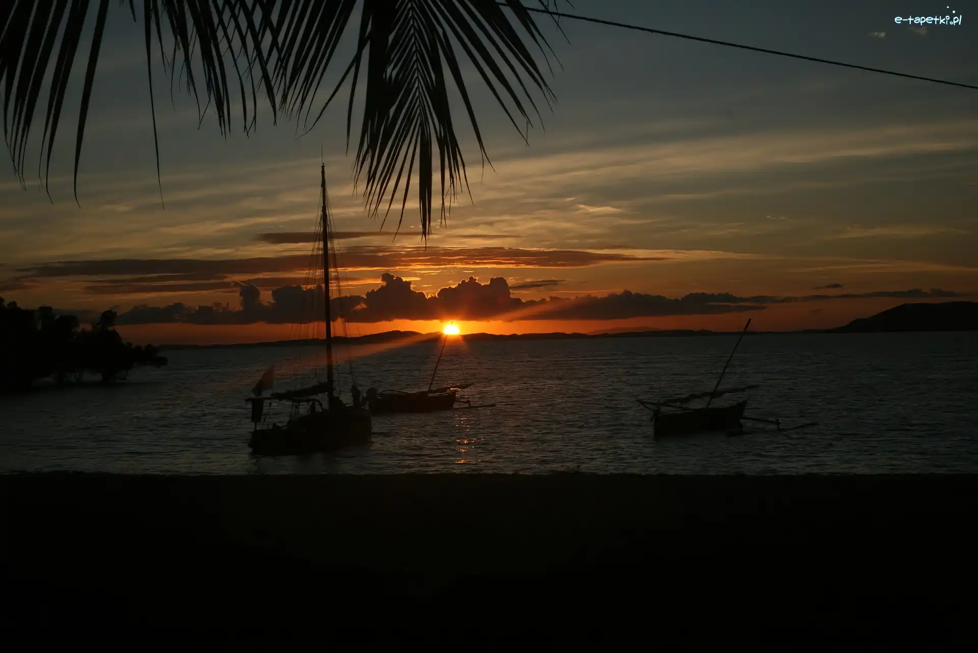 Woda, Palma, Łódki, Madagaskar