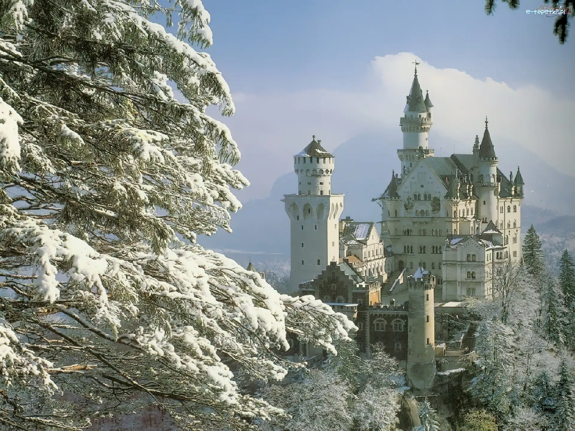 Drzewa, Zamek Neuschwanstein, Lasy, Zima, Bawaria, Niemcy