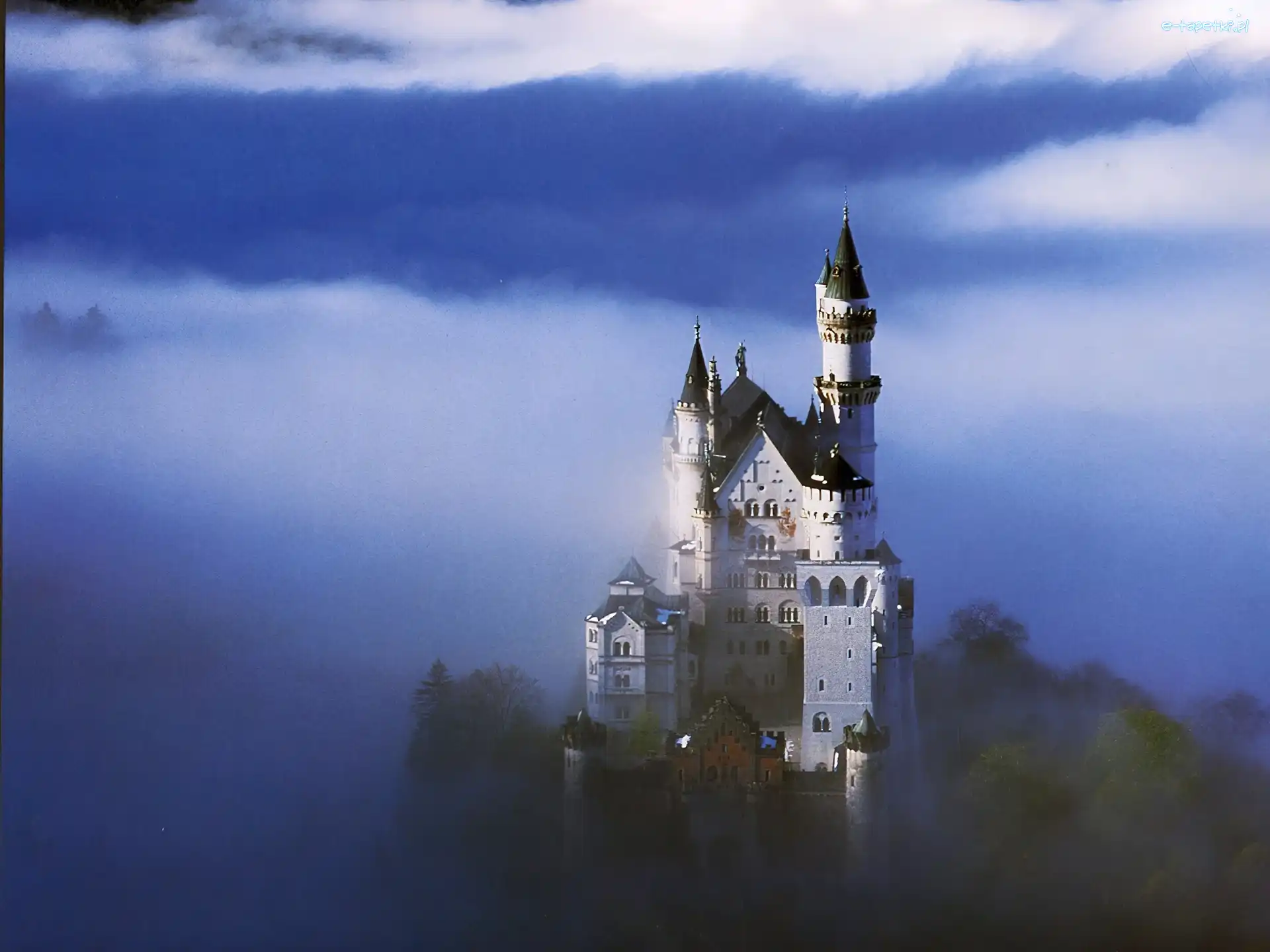 Lasy, Zamek, Neuschwanstein, Góry, Bawaria, Niemcy