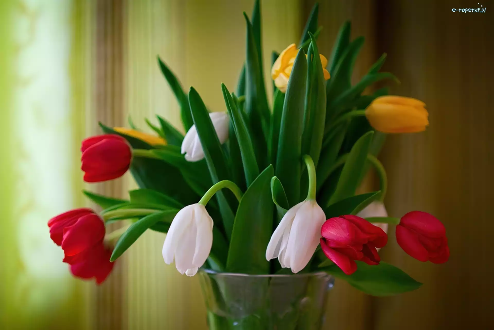 Wazon, Tulipany, Kolorowe