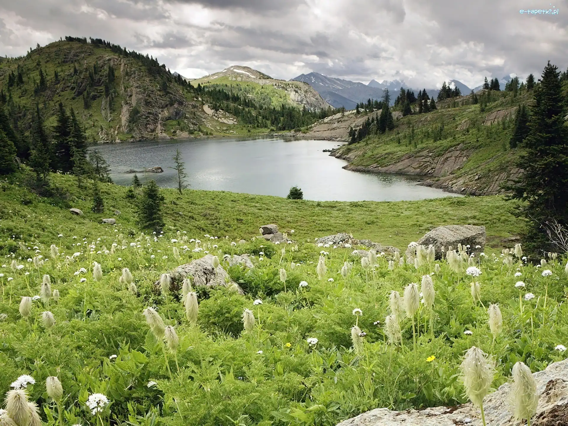 Woda, Park, Narodowy, Góry, Kanada, Alberta