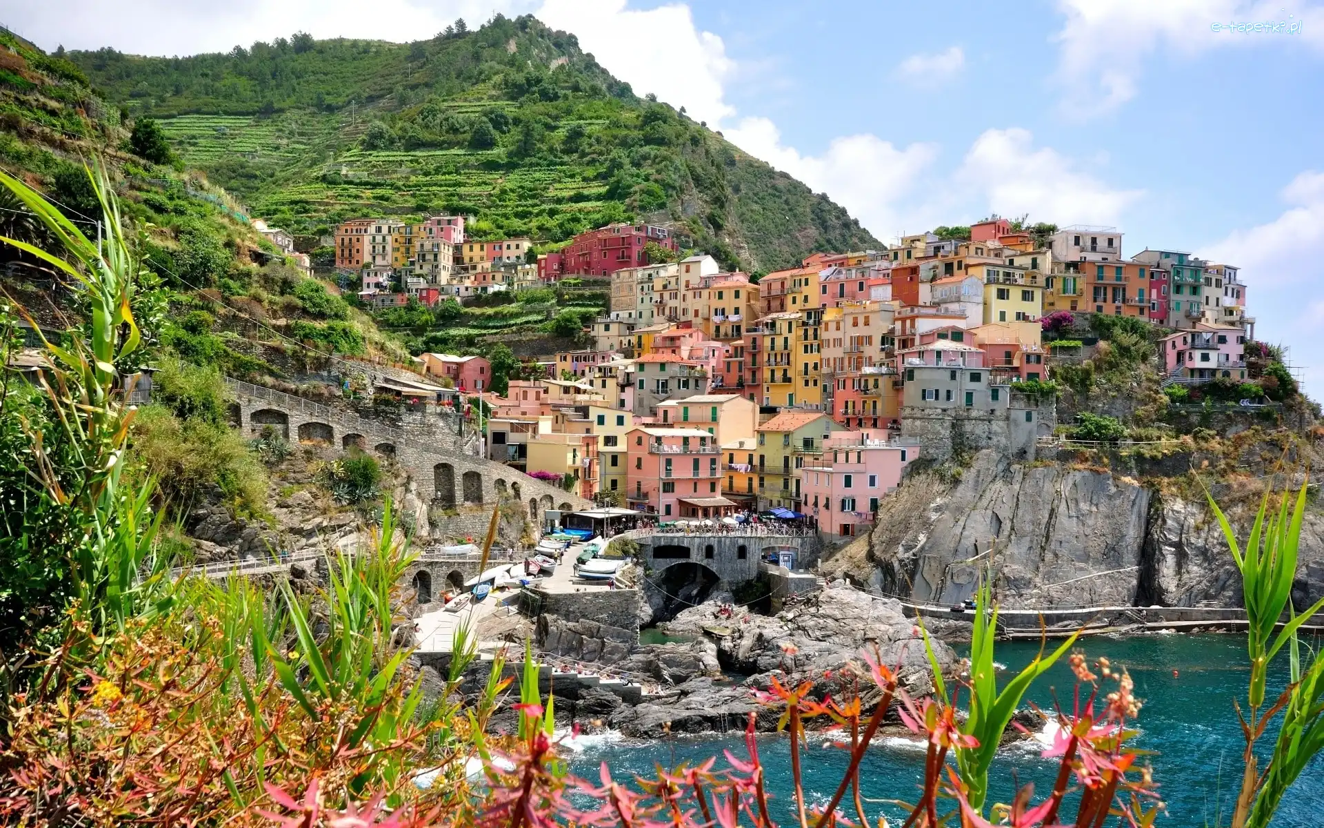 Skały, Kolorowe, Miasteczko, Domy, Włochy, Manarola
