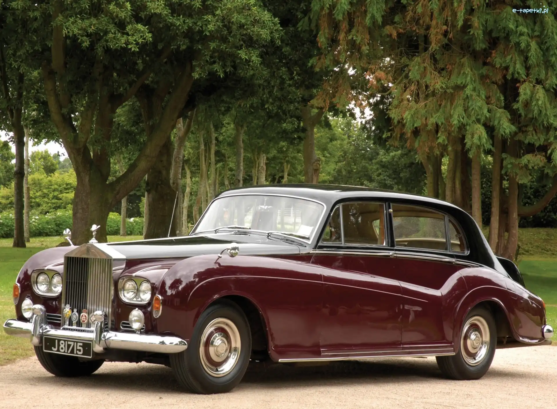 Rolls-Royce Phantom IV, Bordowy