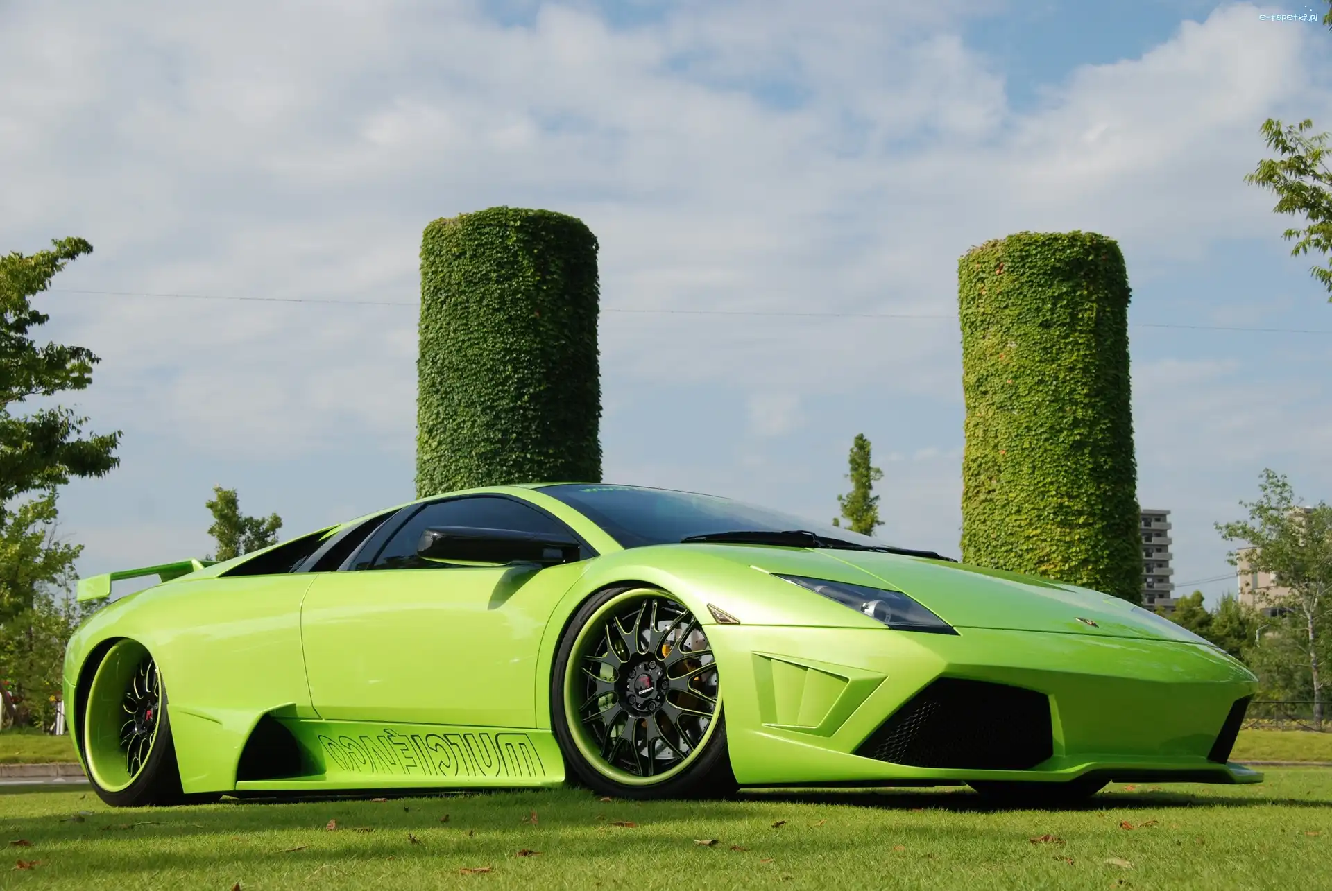 Lamborghini, Zielone