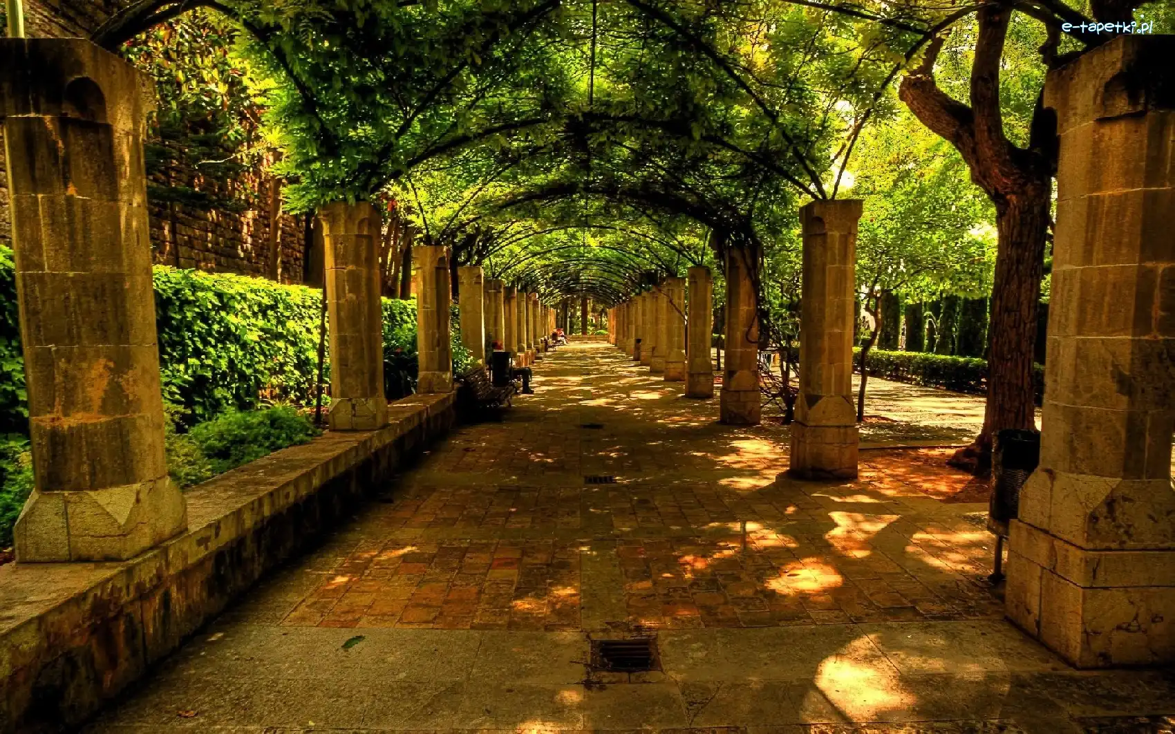 Akejka, Kolumny, Ławeczka, Park