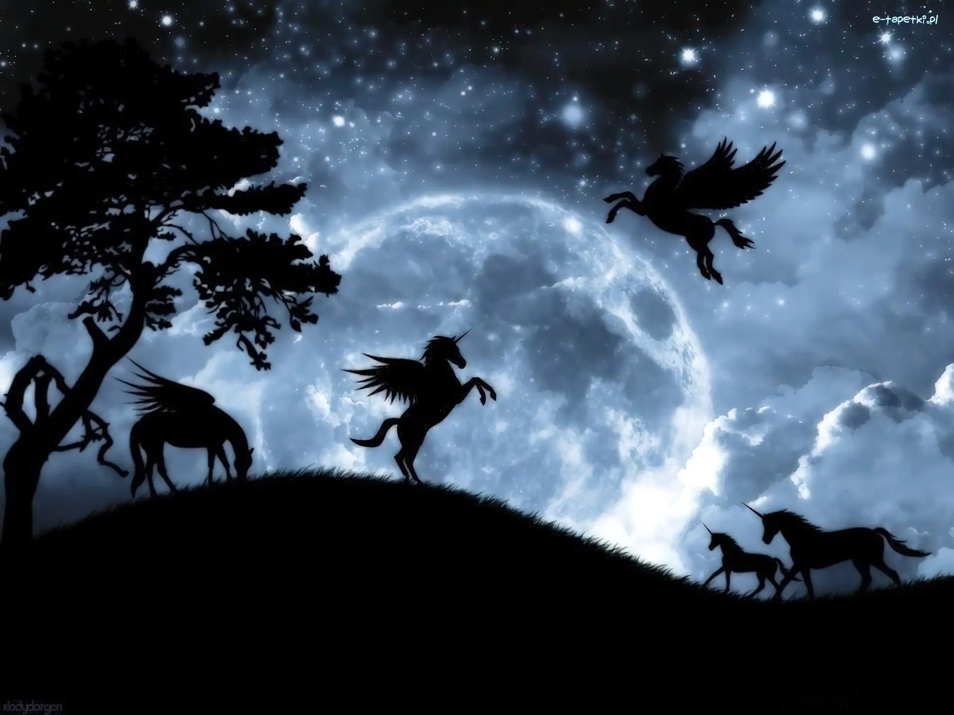Pegazy, Fantasy