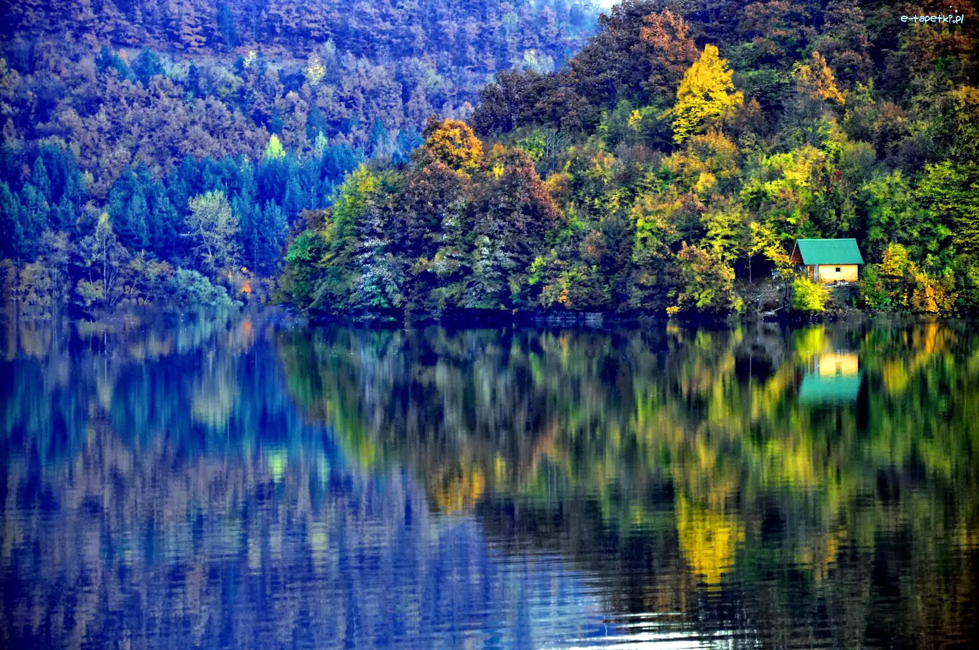 Góry, Domek, Lasy, Jezioro