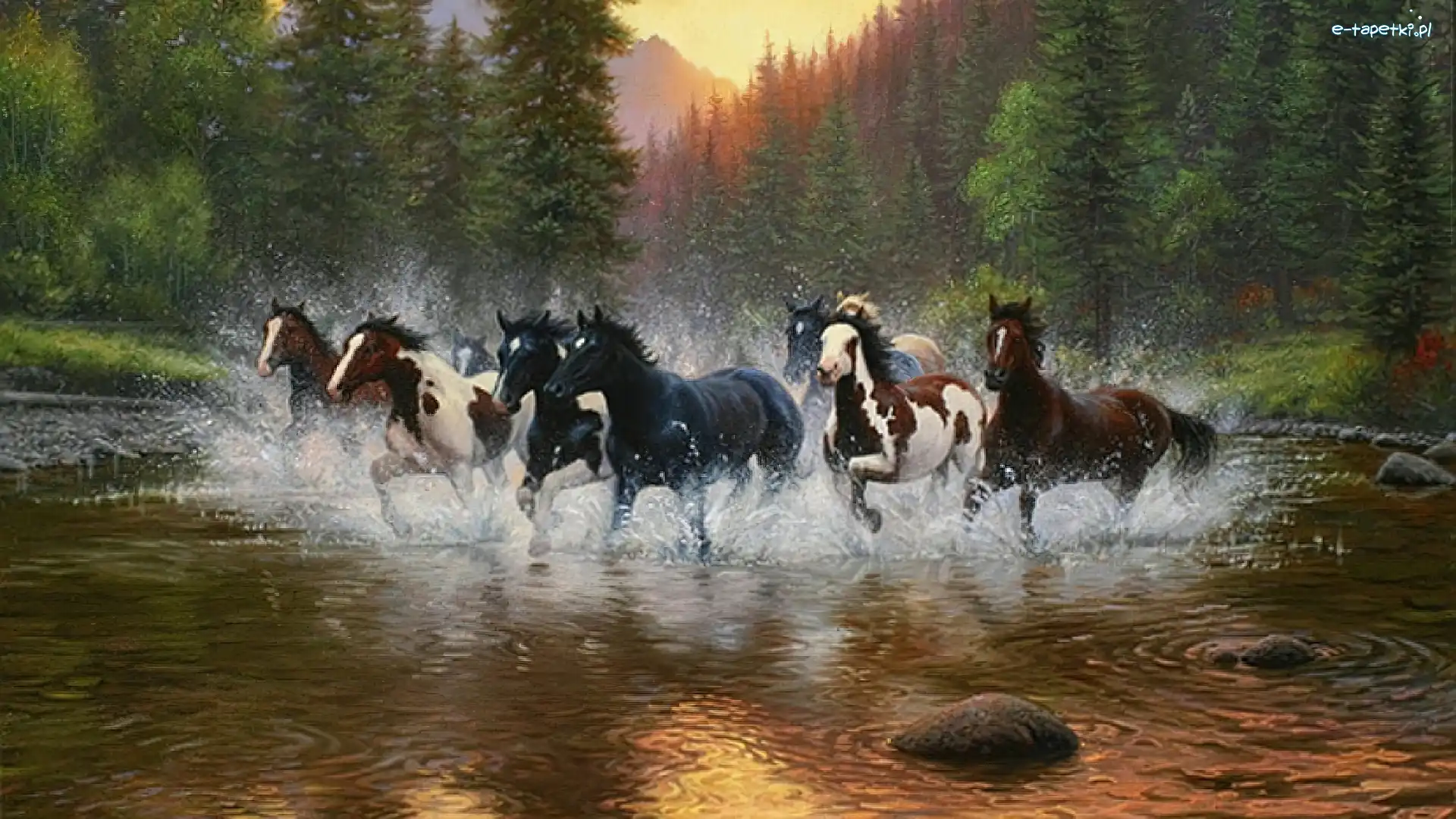 Rzeka, Galop, Las, Konie