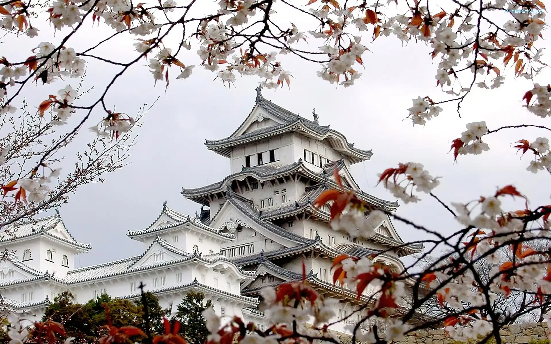 Pagoda, Japońska