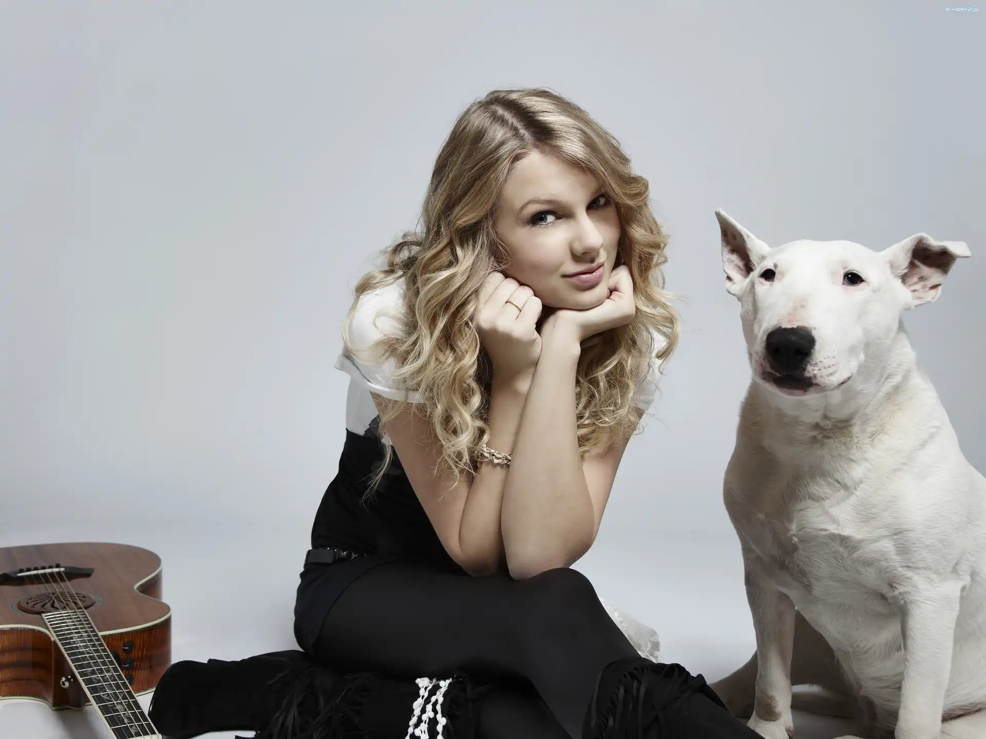 Dog argentyński, Pies, Swift Taylor