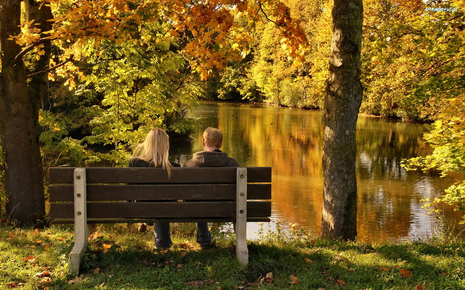 Park, Para, Staw, Ławka