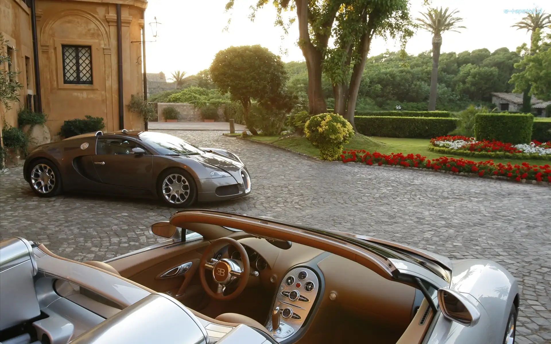 Ogród, Bugatti Veyron, Samochód, Dom