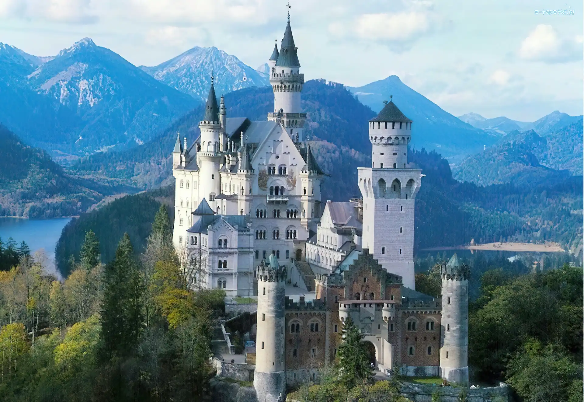 Lasy, Zamek Neuschwanstein, Skały, Drzewa, Bawaria, Niemcy