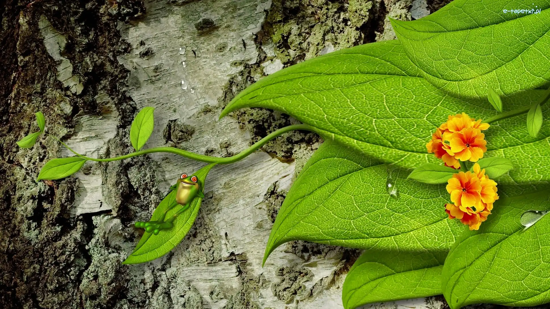 Relaks, Liście, Zielone, Żabka