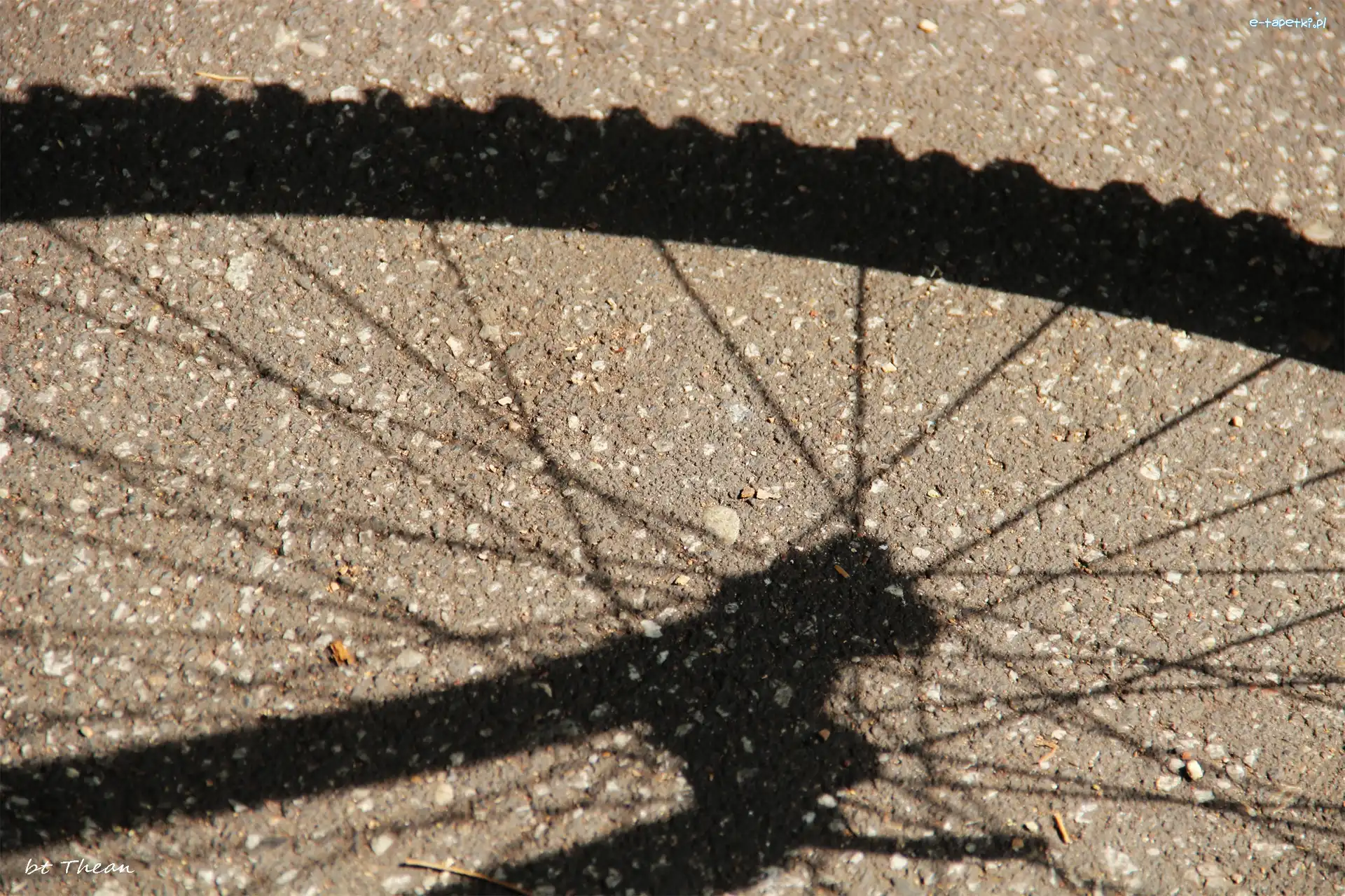 Rowerowego, Koła, Cień