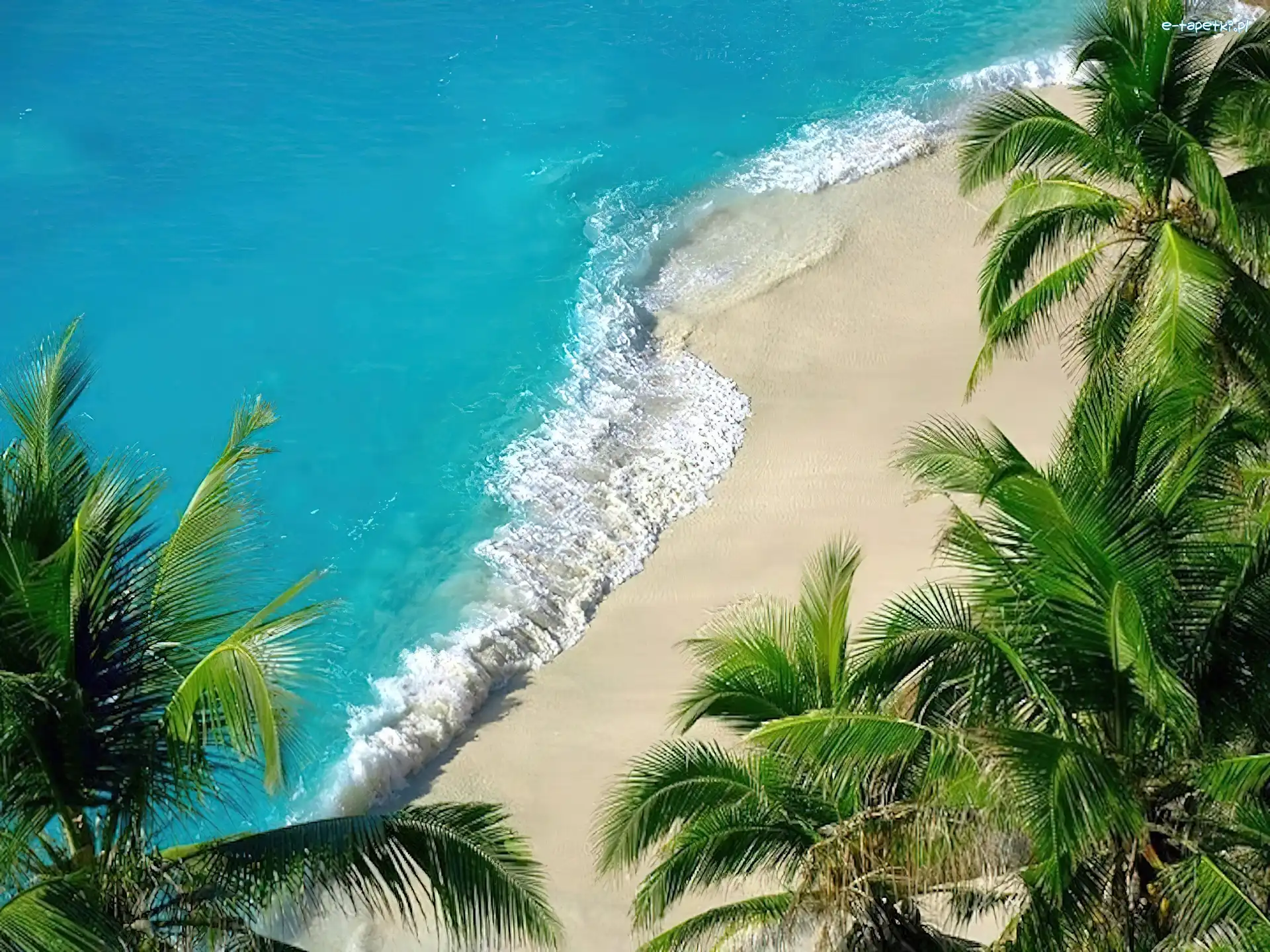 Fale, Palmy, Plaża, Morze