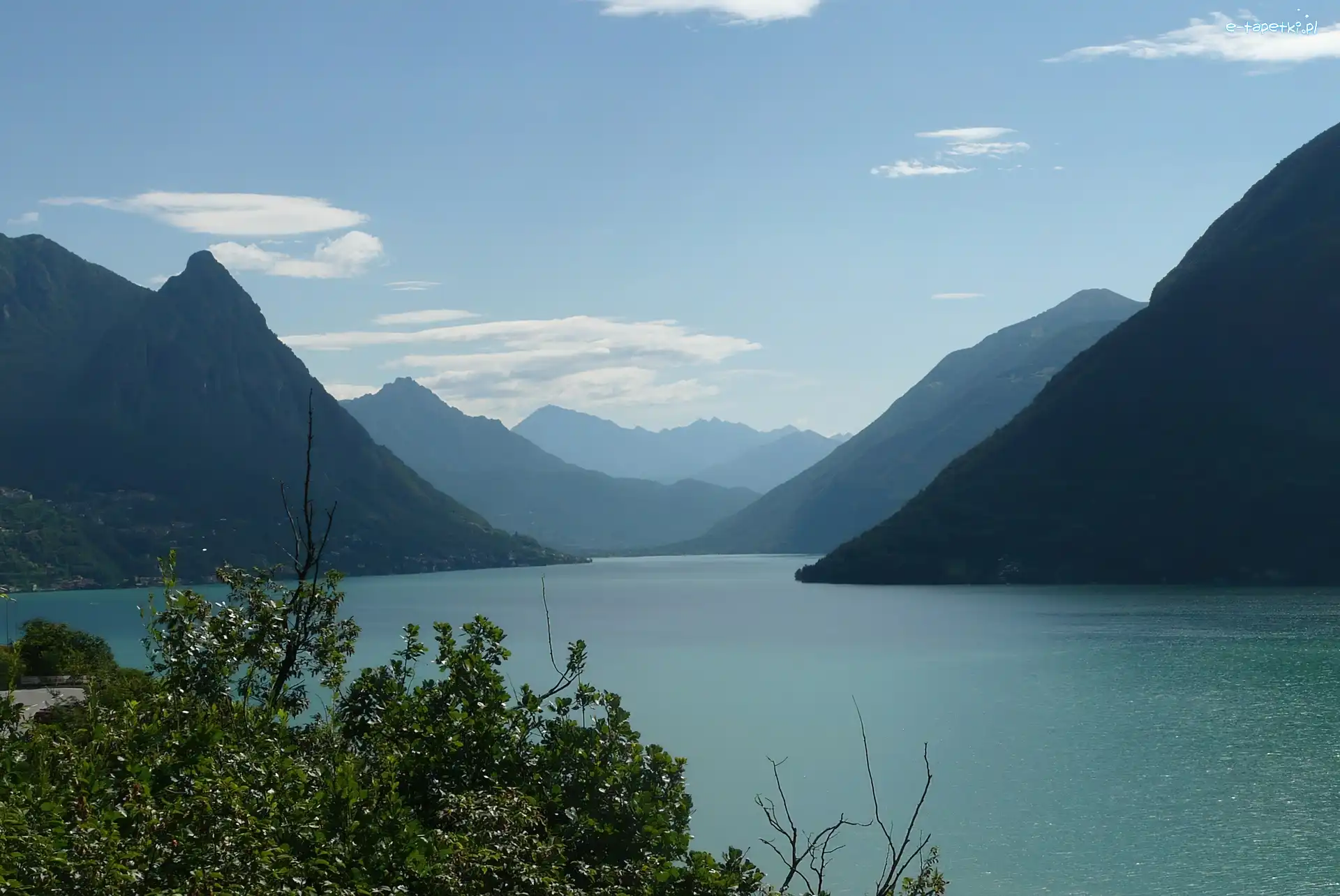 Woda, Drzewa, Góry, Lugano