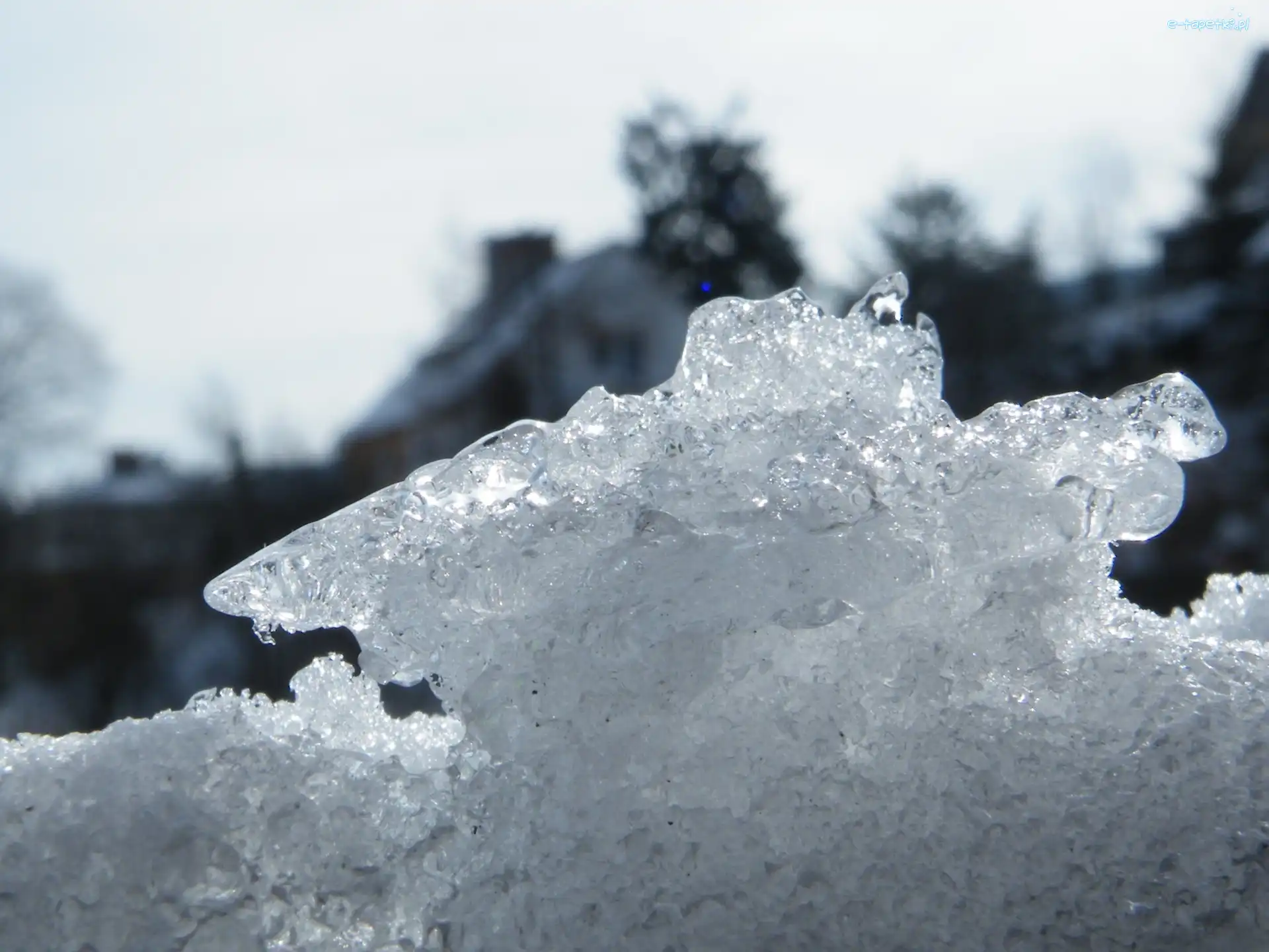 Zima, Śnieg