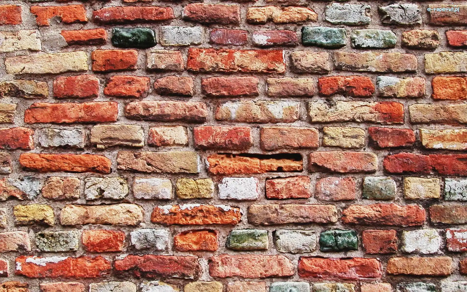 Cegły, Ściana, Mur