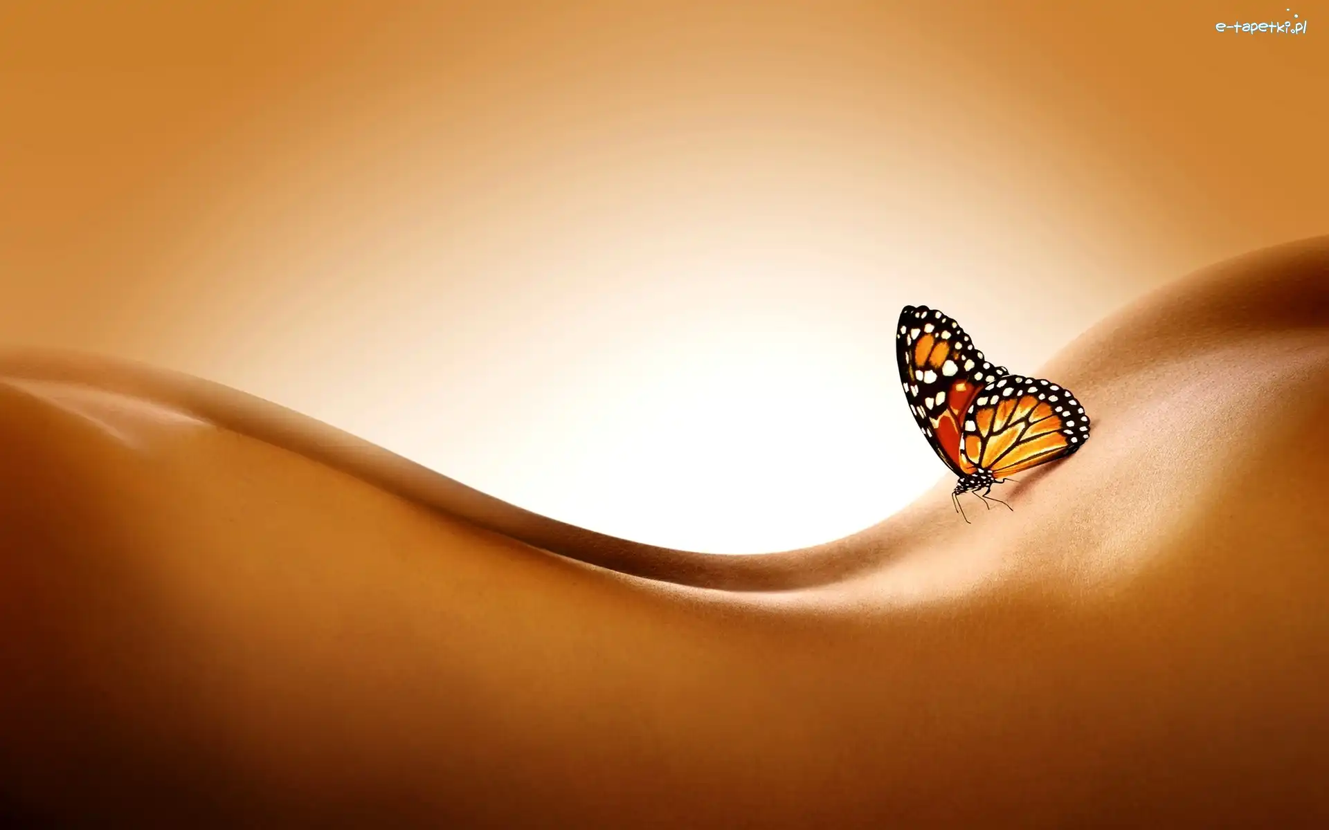 Motyl, Kobiety, Ciało
