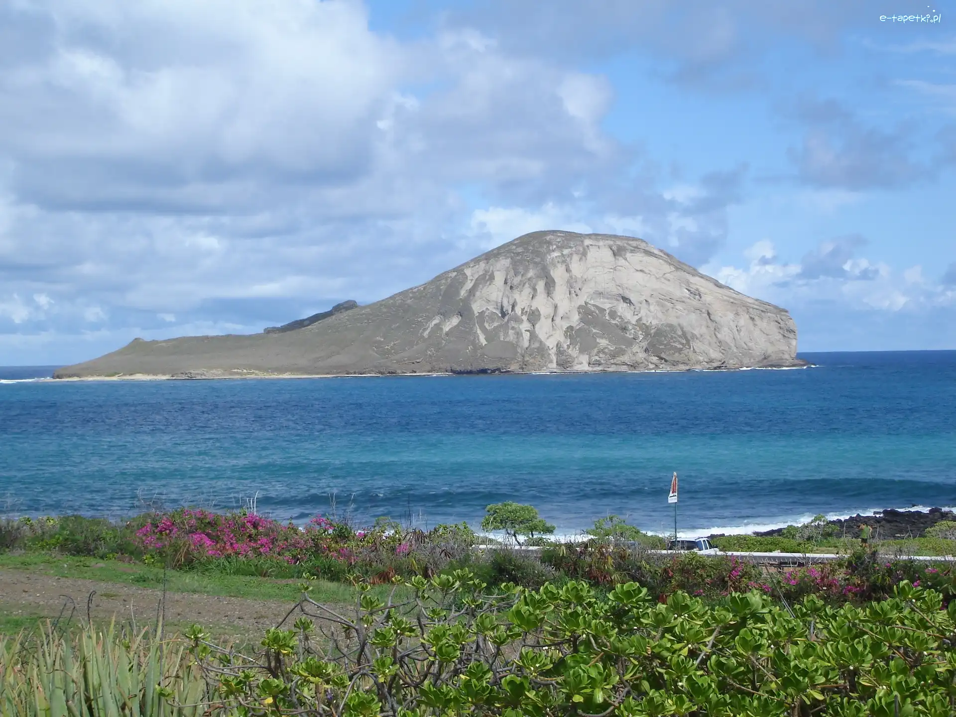 Góra, Morzem, Otoczona, Islandia