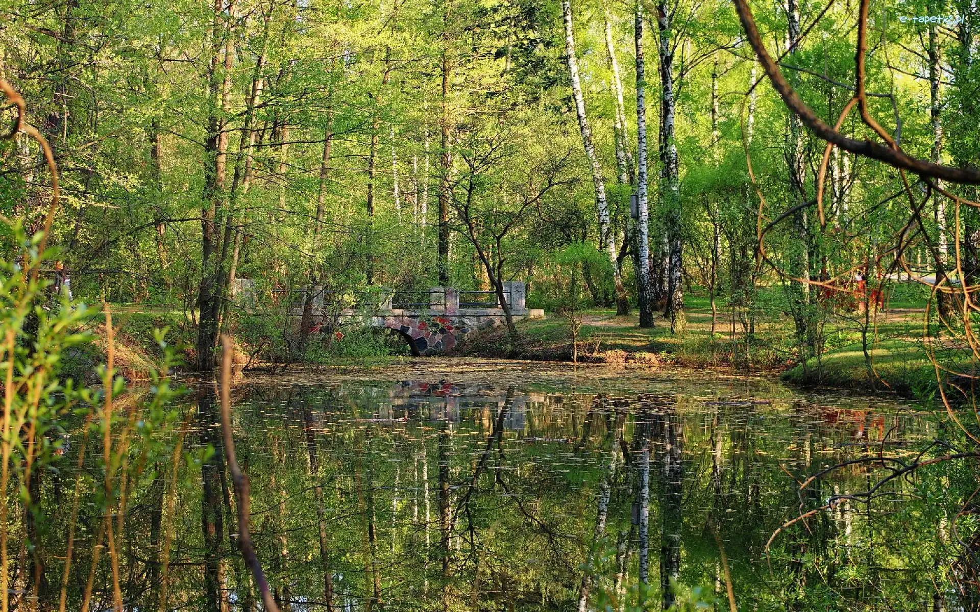 Staw, Mostek, Park