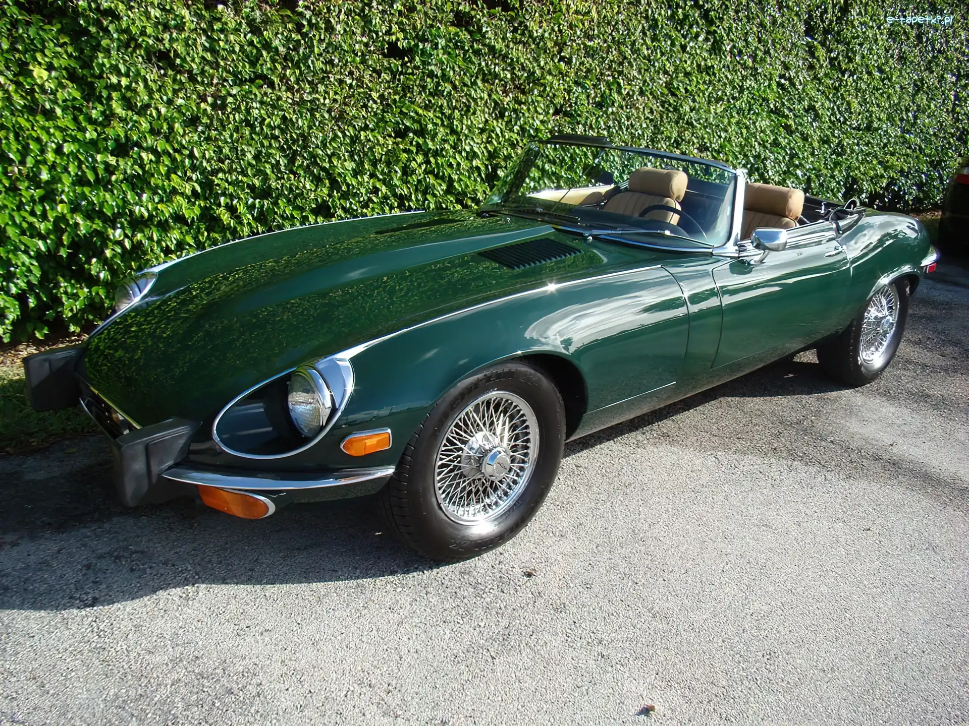 Jaguar XKE, Kabriolet