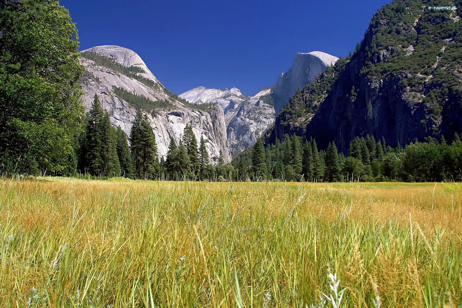 Stan Kalifornia, Góry, Park Narodowy Yosemite, Stany Zjednoczone