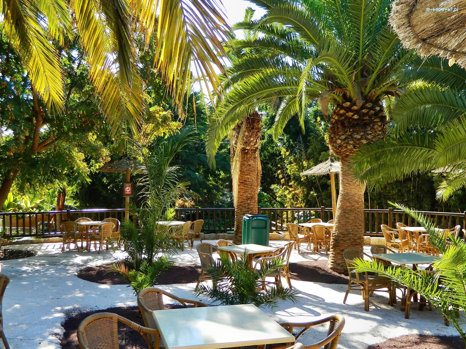 Teneryfa, Palmy, Restauracja