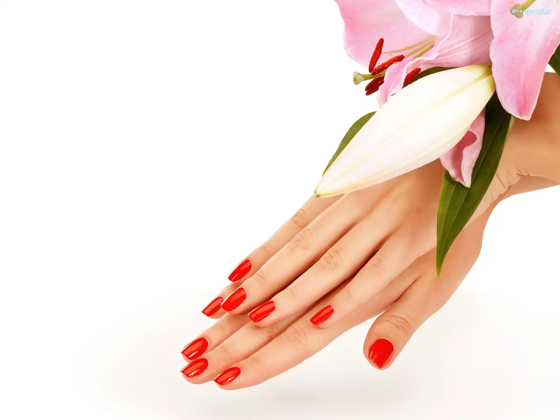 Dłonie, Lilia, Manicure, Kobiece