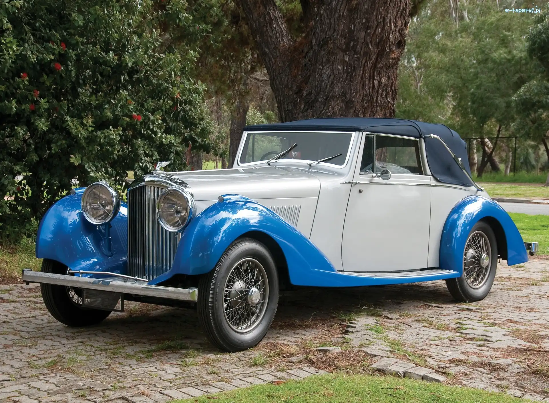 Kabriolet, Derby, Bentley