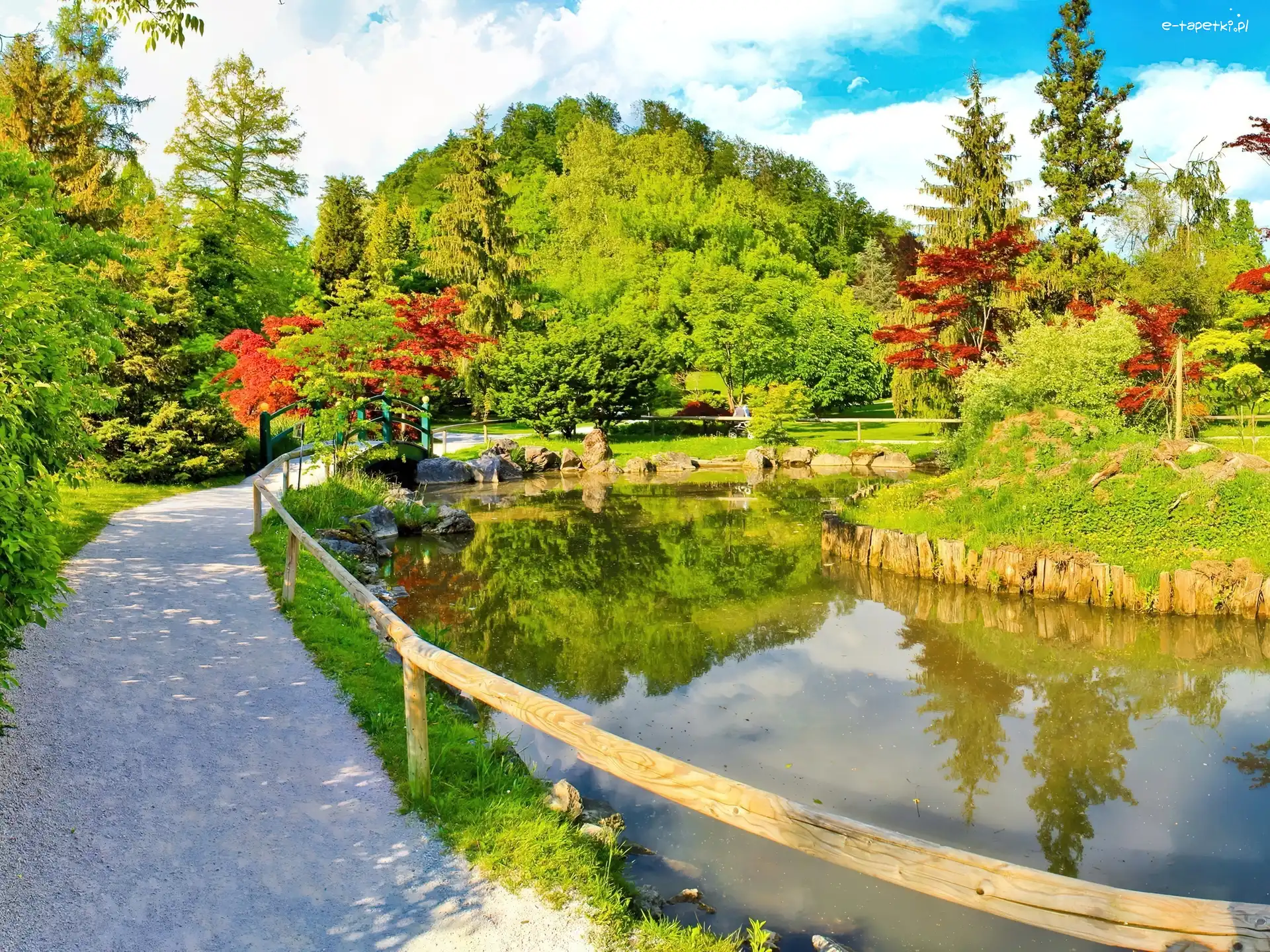 Park, Drzewa, Alejka, Lato