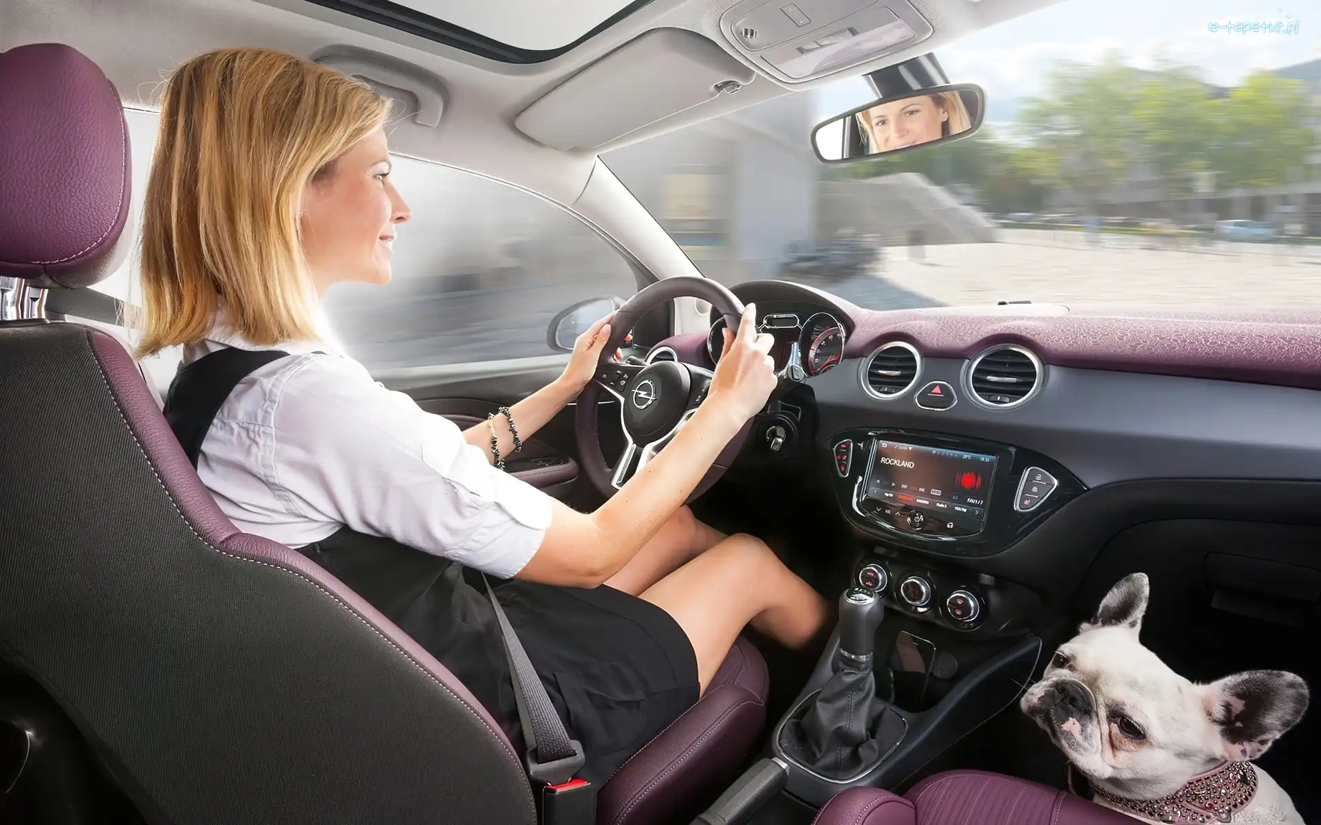 Wnętrze, Pies, Kobieta, Opel Adam
