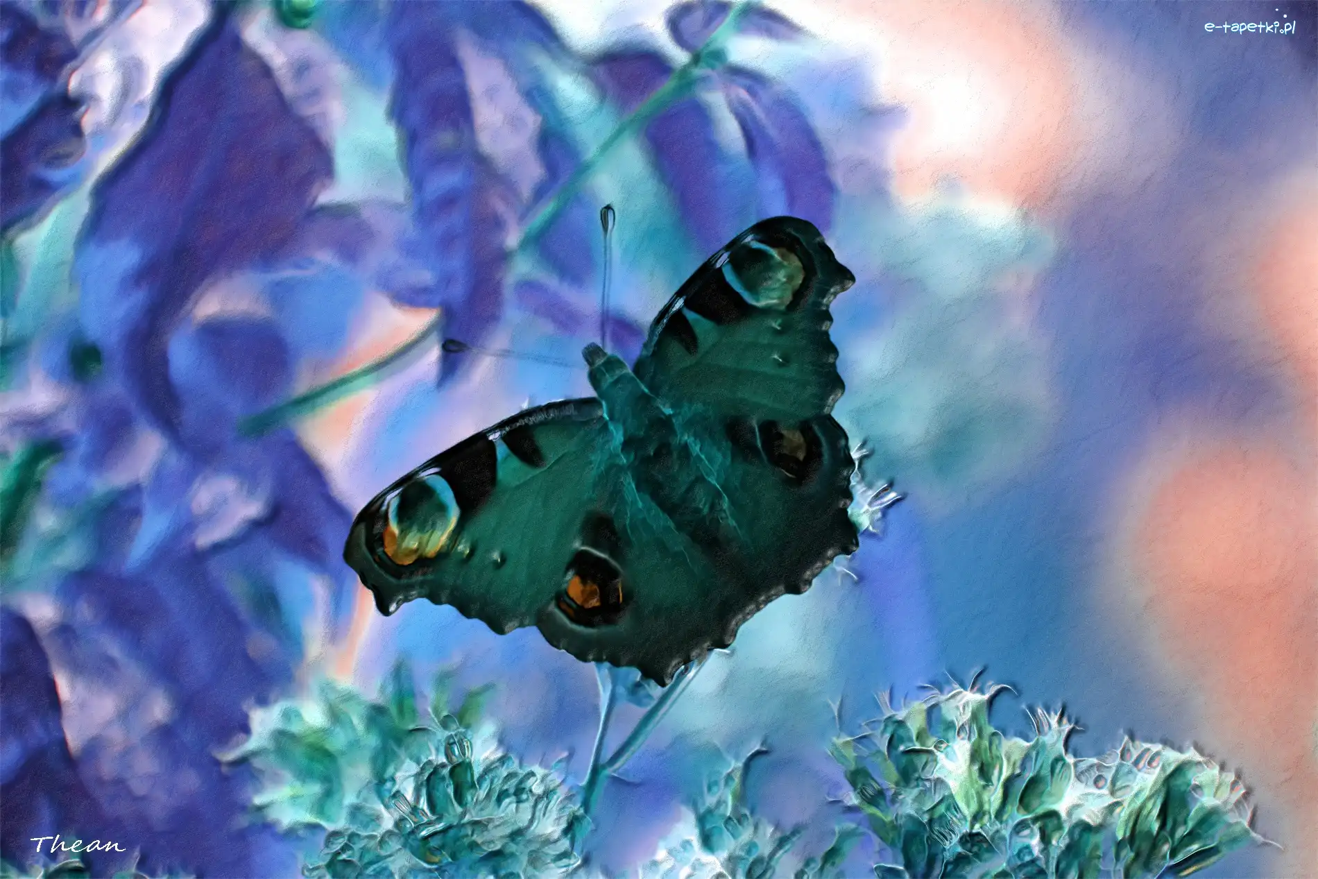 Grafika, Motyl