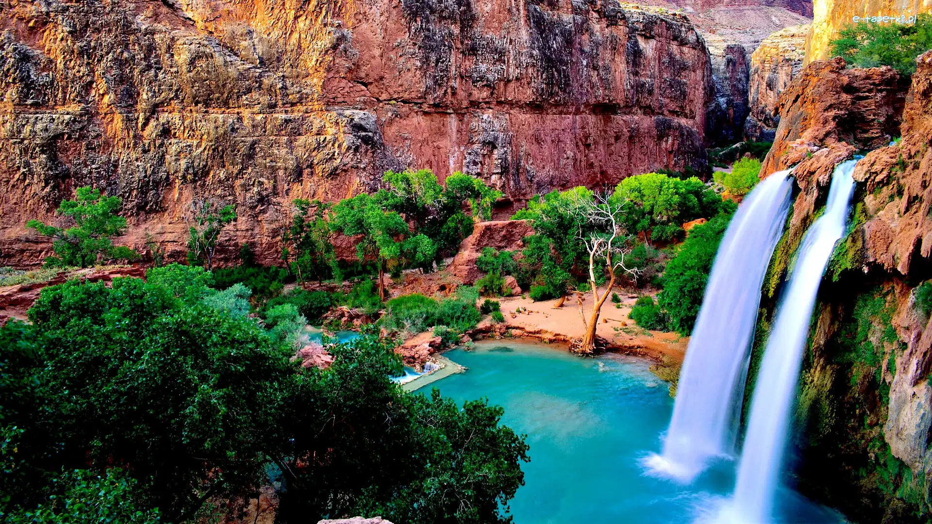 Wodospad Havasu, Drzewa, Skały, Stany Zjednoczone, Arizona